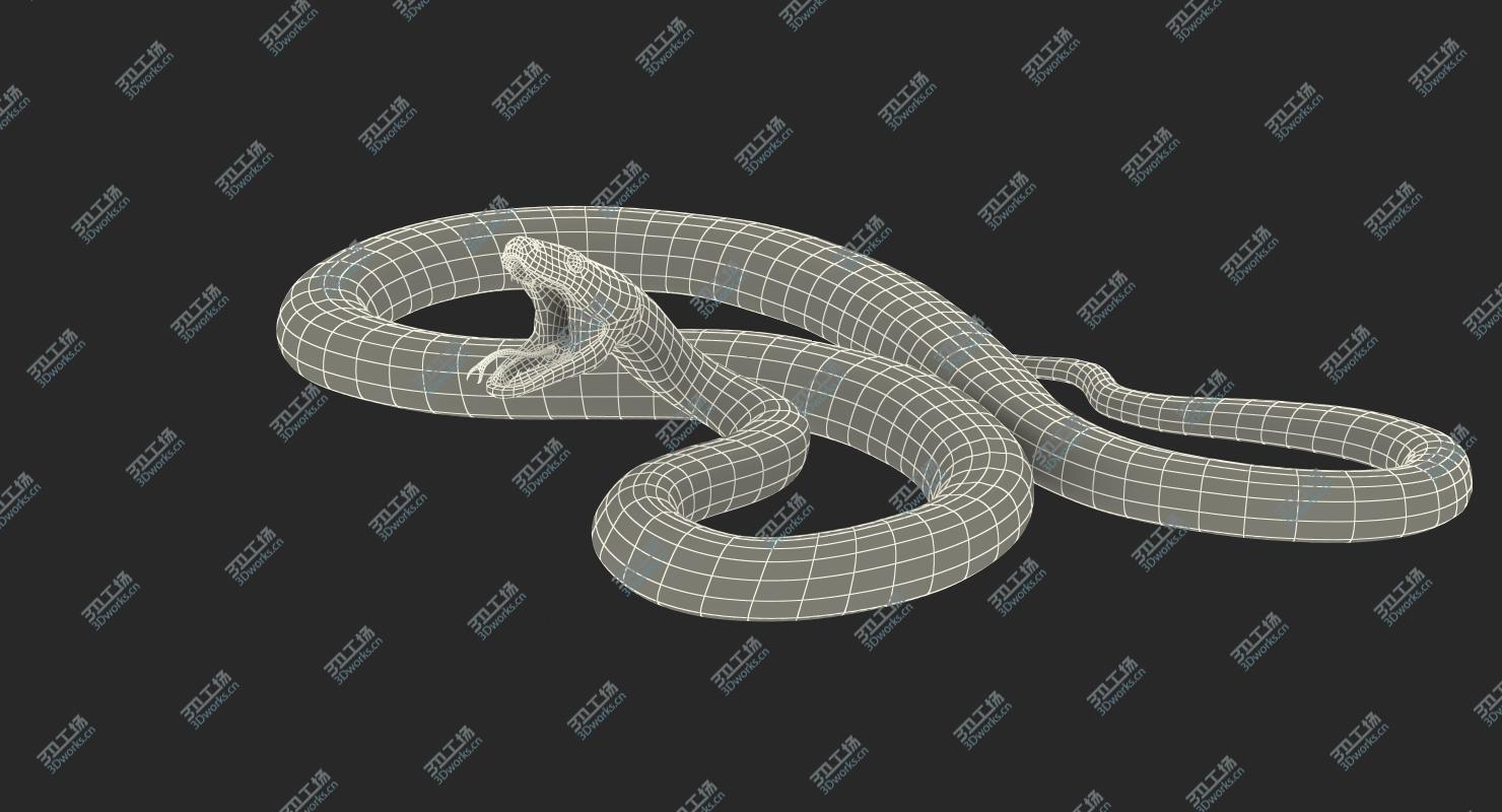 images/goods_img/2021040163/Green Python Snake Attack Pose 3D Model 3D model/4.jpg